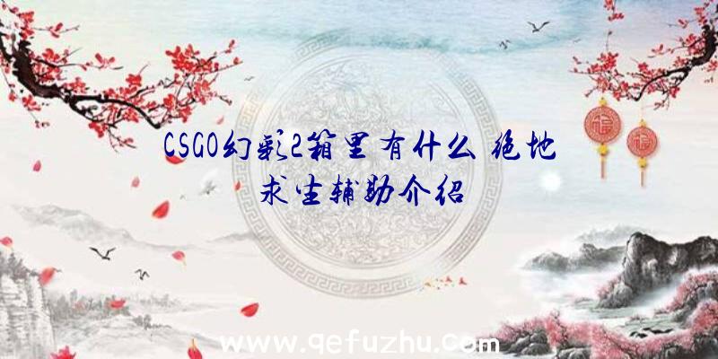 CSGO幻彩2箱里有什么